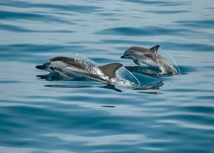 Silver Coast Sunset View-10 Minutos Do Baleal E Campos De Golfe *